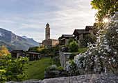 View of Soglio between meadows and snowy peaks in spring at sunset Maloja canton of Graubunden Engadin Bregaglia Valley Switzerland Europe