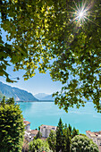 Leman lake, Canton of Vaud, Switzerland, Swiss alps