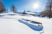 Alpe Serve, Cogne Valley, Gran Paradiso National Park, Aosta Valley, Italian alps, Italy