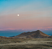 Sunset and moon on the glacial plain of Campo Imperatore, Campo Imperatore, L'Aquila province, Abruzzo, Italy, Europe