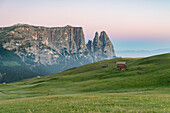 Alpe di Siusi/Seiser Alm, Dolomites, South Tyrol, Italy.