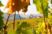 Barolo,Cuneo Province,Piedmont,Italy