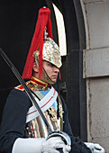 Mounted Guardsman in Whitehall, London, England, United Kingdom, Europe