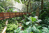 Hong Kong Park Aviary in Central, Hong Kong Island, Hong Kong, China, Asia