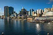 Darling Harbour skyline, Sydney, New South Wales, Australia, Pacific