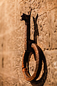 Old Iron Horse Tie Ring in the wall, Florence, Italy, Toscany, Europe