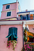 Bunte Fenster und Blumen in Monterosso al Mare, Cinque Terre, Ligurien, Italien, Europa