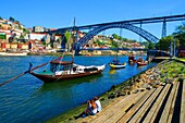 Moliceiro Boats on Douro River Porto Portugal Dom Luis I Bridge.