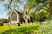 Spring day at St Peter and Paul church in Northleach, a small town in the Cotswolds, Gloucestershire, England.