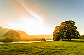 Autumn (fall) morning mist and the River Derwent, Chatsworth Park, home of the Duke of Devonshire, Chesterfield, Derbyshire, England, United Kingdom, Europe