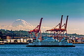 Ferry crossing Elliott Bay with Mount Rainier and the harbour in the background, Seattle, Washington State, United States of America, North America