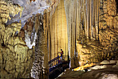 The illuminated interior of Paradise Cave in Phong Nha Ke Bang National Park, Quang Binh, Vietnam, Indochina, Southeast Asia, Asia