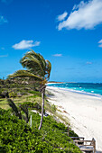 Beach near Nippers Bar, Great Guana Cay, Abaco Islands, Bahamas, West Indies, Central America