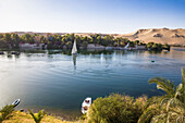 View of River Nile and the Botanical Gardens on Kitchener Island, Aswan, Upper Egypt, Egypt, North Africa, Africa