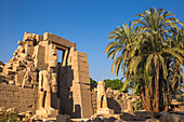 Karnak Temple, UNESCO World Heritage Site, near Luxor, Egypt, North Africa, Africa