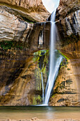 Lower Calf Creek Falls, Grand Staircase-Escalante National Monument, Utah, United States of America, North America