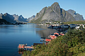 View over Reine Harbour, Lofoten Islands, Nordland, Norway, Scandinavia, Europe