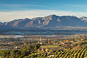 Paarl Valley at sunrise, Paarl, Western Cape, South Africa, Africa