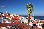 View from Santa Luzia viewpoint over Alfama district to Tejo River, Lisbon, Portugal, Europe