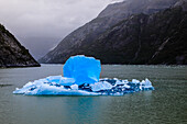 Spectacular iceberg, with stunning blue cube, Tracy Arm Fjord, misty conditions, near South Sawyer Glacier, Alaska, United States of America, North America