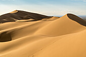 Khongor sand dunes in Gobi Gurvan Saikhan National Park, Sevrei district, South Gobi province, Mongolia, Central Asia, Asia