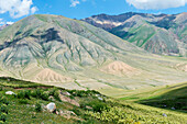 Road to Song Kol Lake, Naryn province, Kyrgyzstan, Central Asia, Asia