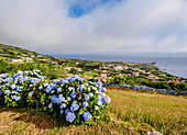 Ponta Delgada, elevated view, Flores Island, Azores, Portugal, Atlantic, Europe
