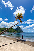 Man walking under a lone palm on the beach at Soufriere with Petit Piton in the distance, St. Lucia, Windward Islands, West Indies Caribbean, Central America