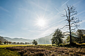 Landschaft im Herbst, Freiburg im Breisgau, Schwarzwald, Baden-Württemberg, Deutschland