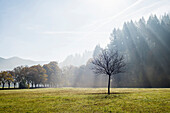 landscape in autumn, Freiburg im Breisgau, Black Forest, Baden-Württemberg, Germany