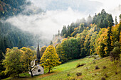 Höllental im Herbst, bei Freiburg im Breisgau, Schwarzwald, Baden-Württemberg, Deutschland