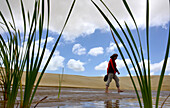 am Ninety Mile Beach, Northland, Nordinsel, Neuseeland