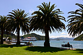 Picton at Queen Charlotte Sound, Marlborough Sounds, South Island, New Zealand
