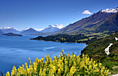am Wakatipu See bei Glenorchy, Südinsel, Neuseeland