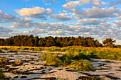 Beach at Darsser Ort , Ostseeküste, Mecklenburg-Western Pomerania, Germany