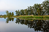 Uferlandschaft am Fluss Peene, Anklam, Usedom, Ostseeküste, Mecklenburg-Vorpommern, Deutschland