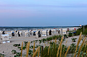 Strandkörbe mit Strandhafer im Abendlicht, Ahlbeck, Usedom, Ostseeküste, Mecklenburg-Vorpommern,  Deutschland