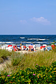 Strand mit Dünenvegetation und Strandkörben, Bansin, Usedom, Ostseeküste, Mecklenburg-Vorpommern Deutschland