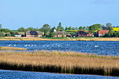 Insel Poel,  Blick auf Salzhaff, Ostseeküste, Mecklenburg-Vorpommern Deutschland