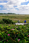 Cyclists, Hiddensee, Rügen, Ostseeküste, Mecklenburg-Western Pomerania, Germany