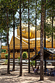 Buddha in Tra Vinh, Vietnam, Asia