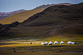 Jurten am Songköl See in Kirgistan, Asien