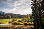 Herbststimmung am Rantscher Weiher im Garmischer Alpenvorland mit Blick zum Hörnle, Bad Kohlgrub, Oberbayern, Deutschland
