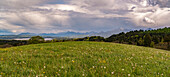 Frühlingswiese über dem Staffelsee mit Blick auf die Bayrischen Voralpen mit Heimgarten und Herzogstand, Bad Kohlgrub, Oberbayern, Deutschland