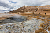 Hverarondor Hverir mud pots, steam vents, and sulphur deposits on the north coast of Iceland, Polar Regions