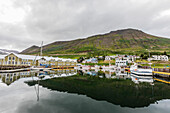 The herring capital of the world, Siglufjorour, Siglufjordur, off the north coast of Iceland, Polar Regions