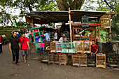 The bird and flower markets of Malang, Malang, East Java, Indonesia, Southeast Asia, Asia