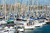 Sailing boats on Barcelona Marina at Port Vell, Barcelona, Catalonia, Spain, Europe
