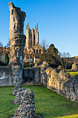 Ruins of the Abbey of Bury St. Edmunds, historic Benedictine monastery, with St. Edmundsbury Cathedral, Bury St. Edmunds, Suffolk, England, United Kingdom, Europe