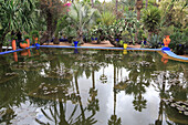Jardin Majorelle (Majorelle Gardens), restored by fashion designer Yves Saint Laurent, Marrakesh (Marrakech), Morocco, North Africa, Africa